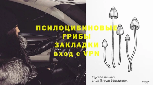 дживик Абаза