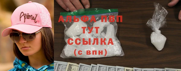 дживик Абаза